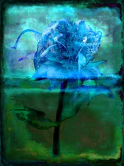 2019-09-25 Indianernessel 04-02 60x80cm Tinte auf Hahnemühlepapier